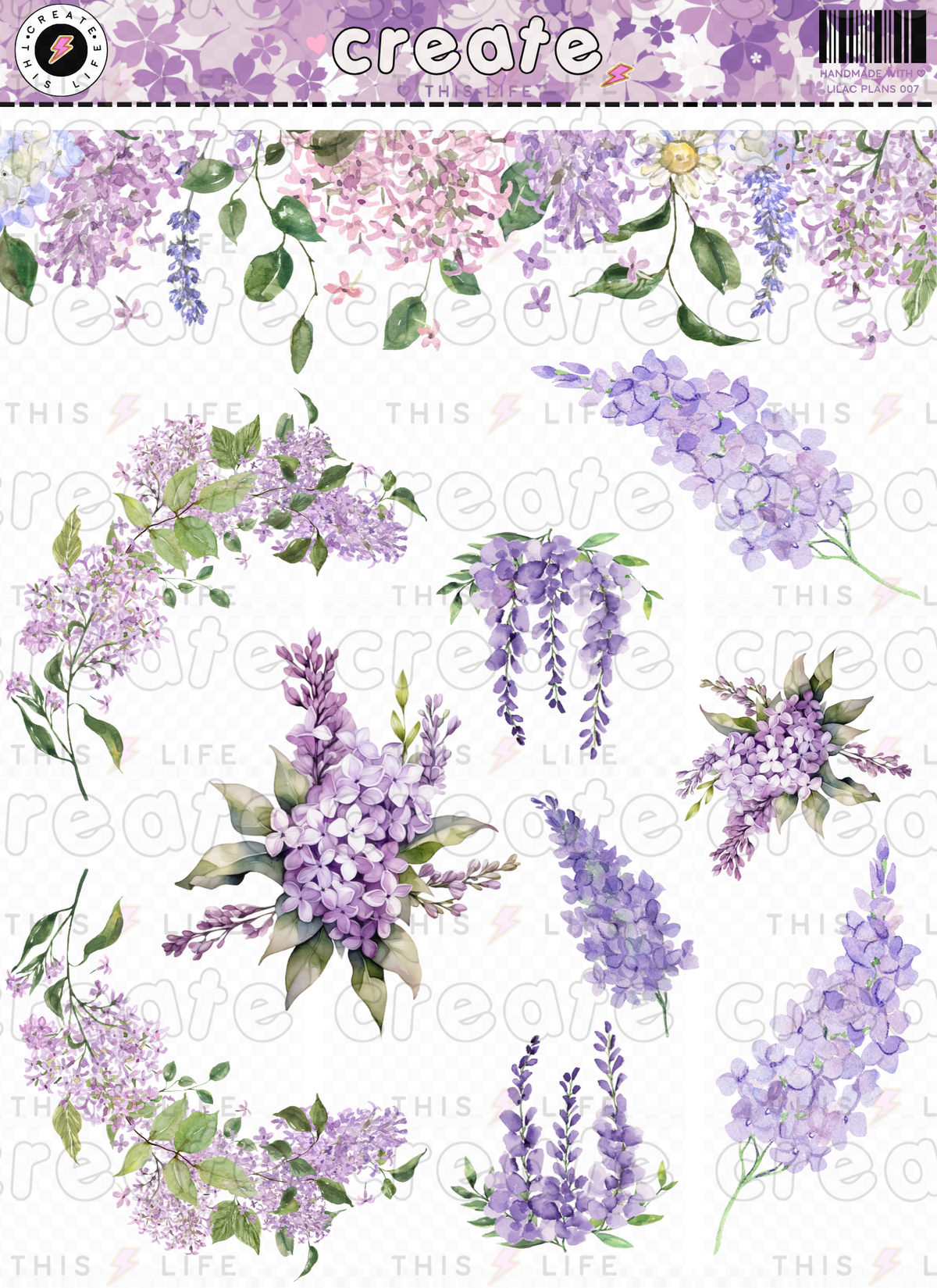 Lilac Plans